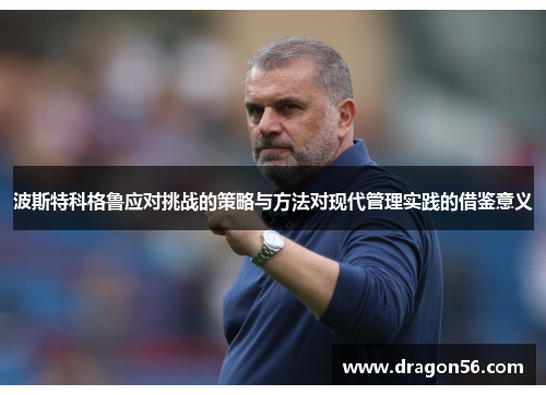 波斯特科格鲁应对挑战的策略与方法对现代管理实践的借鉴意义